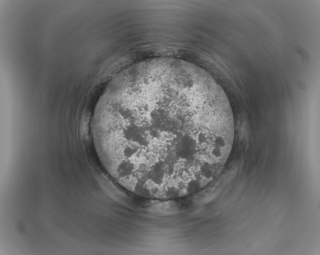 X0000112910185200909211039