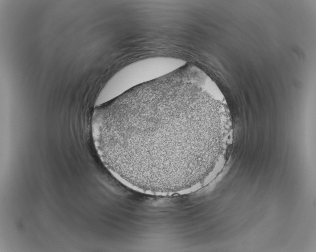 X0000112910186200909211039