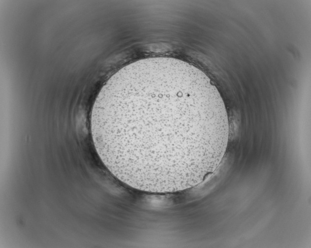 X0000112910187200909211039