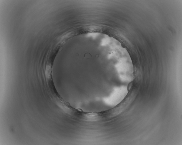 X0000112910189200909211039