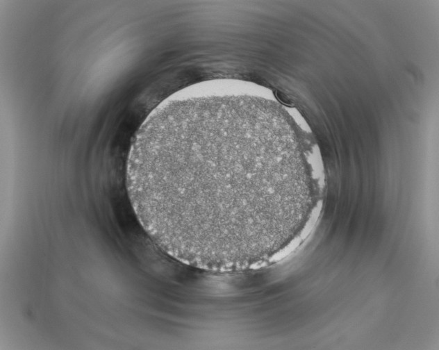 X0000112910190200909211039