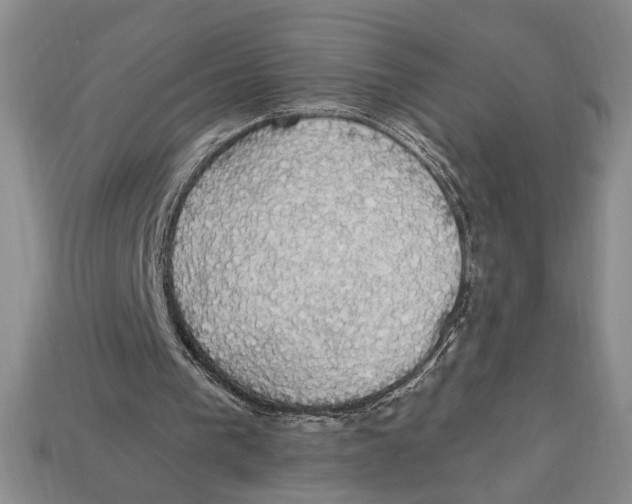 X0000112910193200909211039