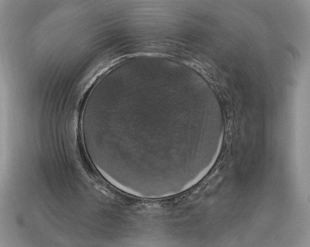 X0000112910194200909211039