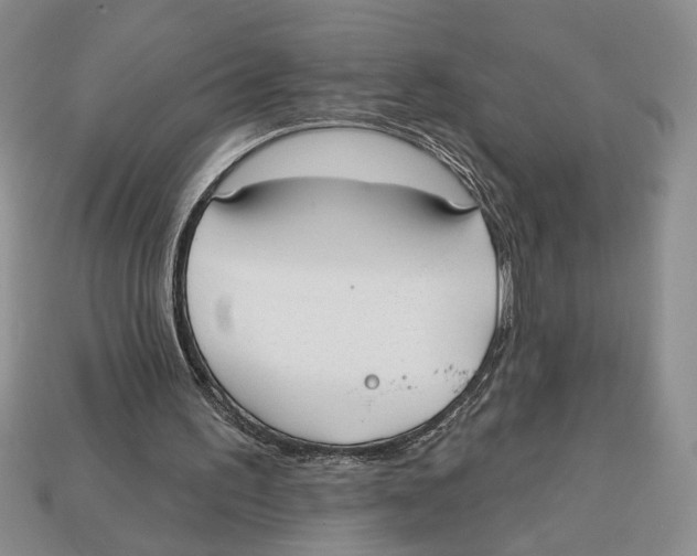 X0000112910195200909211039