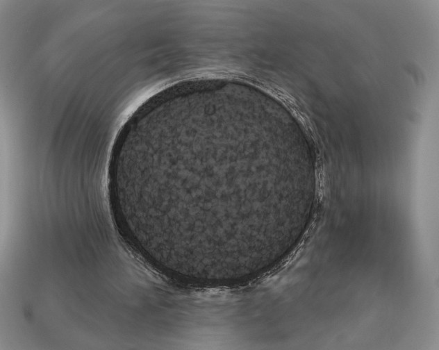 X0000112910196200909211039