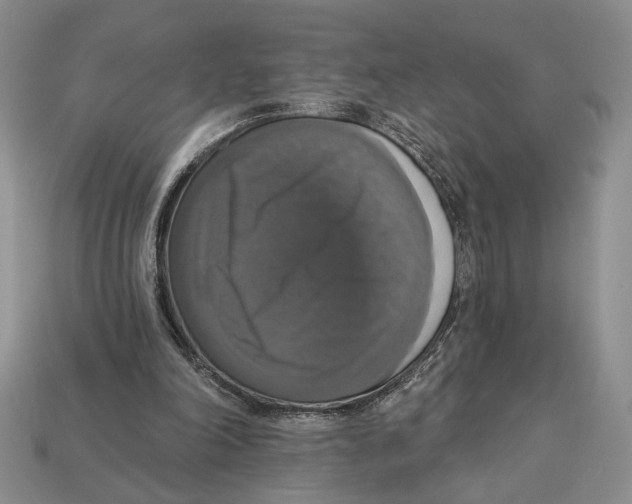 X0000112910198200909211039