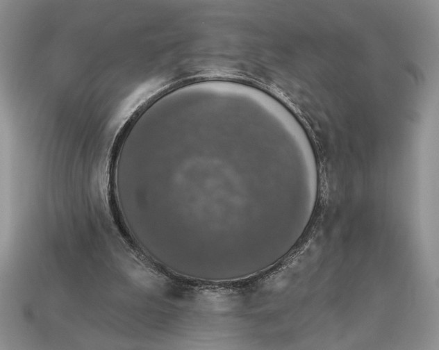 X0000112910199200909211039