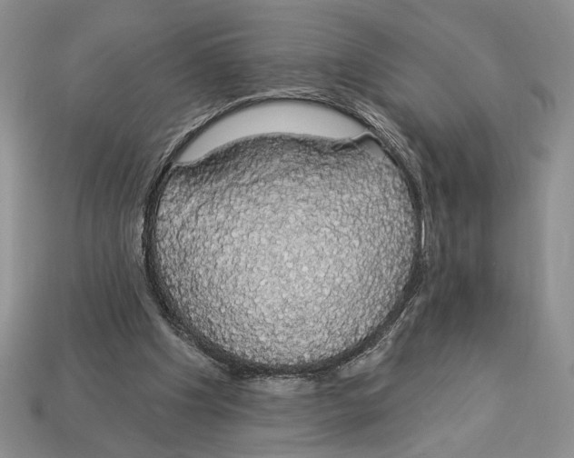 X0000112910201200909211038