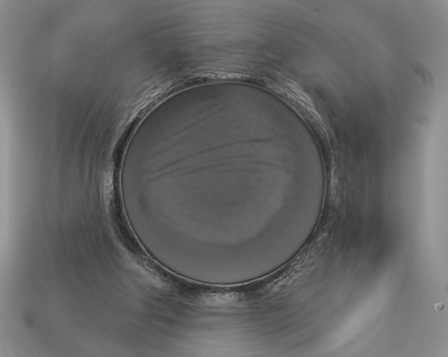 X0000112910202200909211038