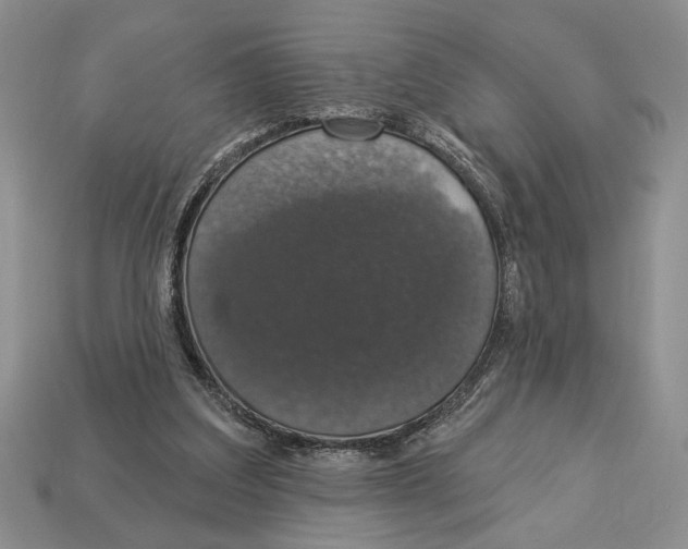 X0000112910203200909211038