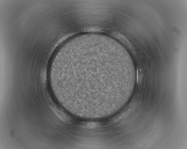 X0000112910204200909211038
