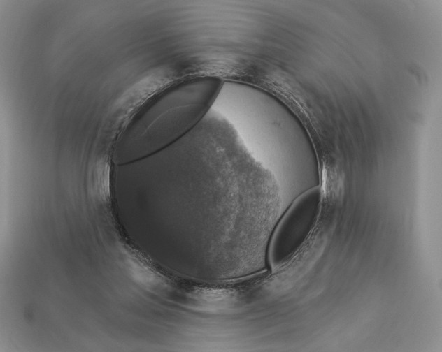 X0000112910205200909211038