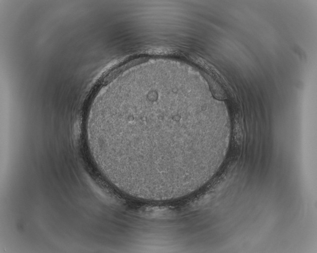 X0000112910208200909211038