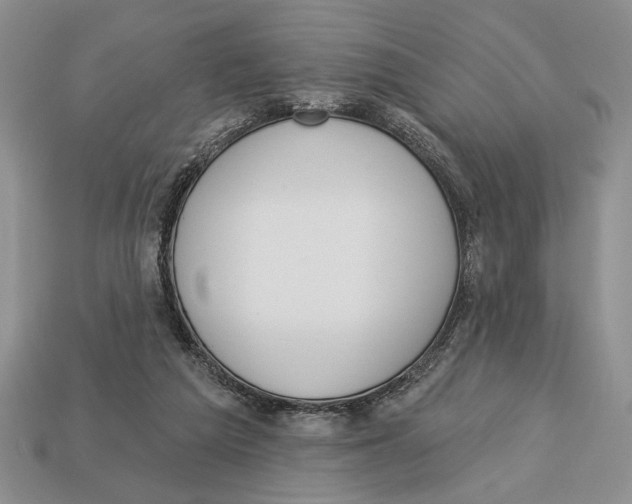 X0000112910209200909211038