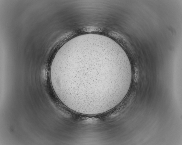 X0000112910210200909211038