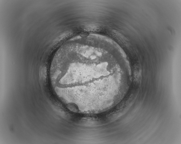 X0000112910211200909211038