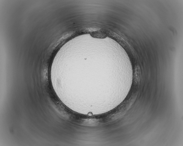 X0000112910212200909211038