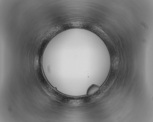 X0000112910213200909211038