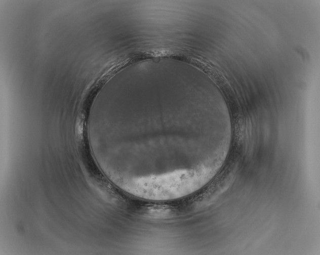 X0000112910214200909211038