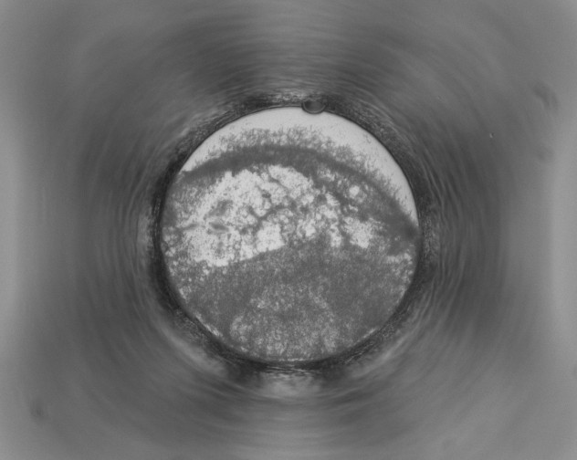 X0000112910215200909211038