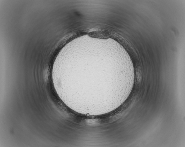 X0000112910216200909211038