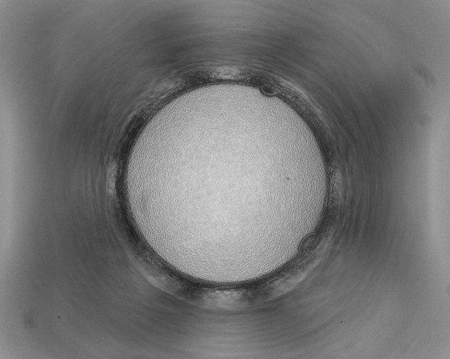 X0000112910217200909211038
