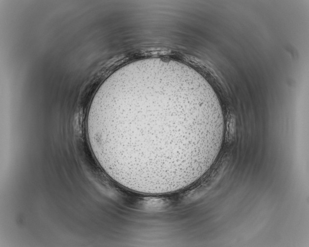 X0000112910218200909211038