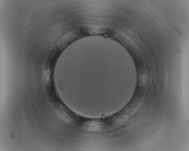 X0000112910219200909211038