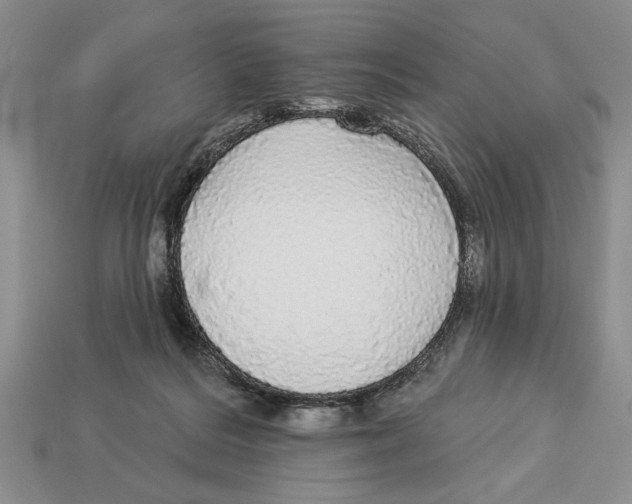 X0000112910220200909211038