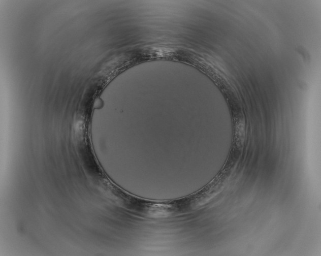 X0000112910222200909211038