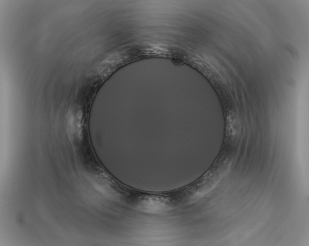 X0000112910223200909211038