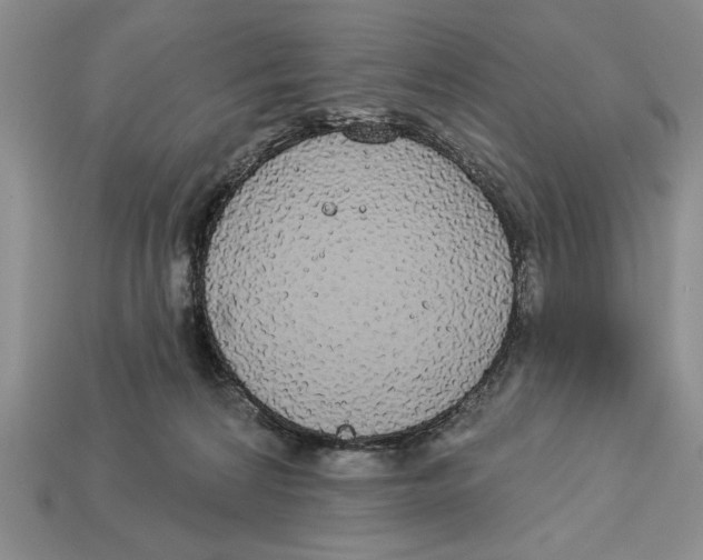 X0000112910224200909211038