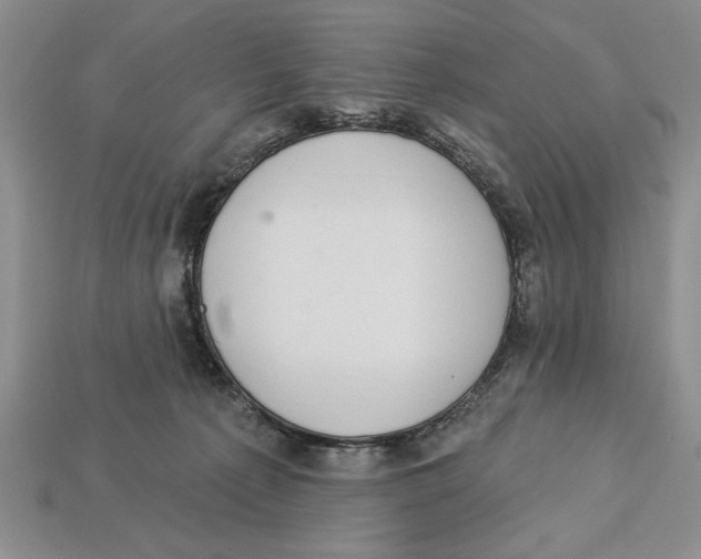 X0000112910225200909211038