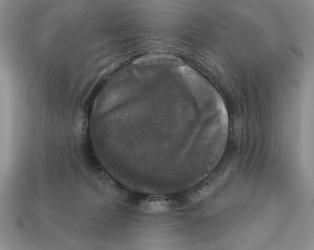 X0000112910228200909211038