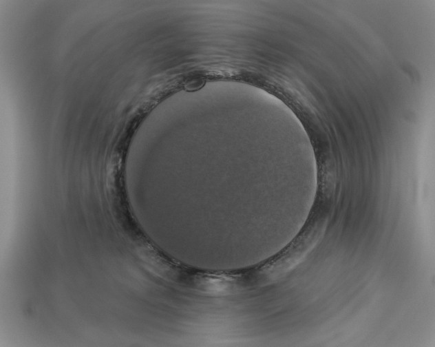 X0000112910229200909211038