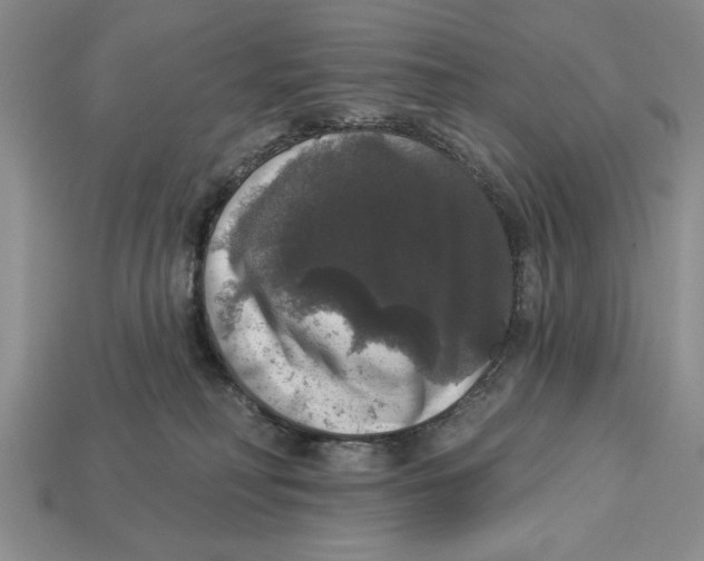 X0000112910230200909211038