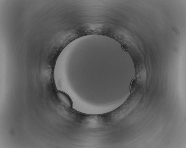X0000112910231200909211038