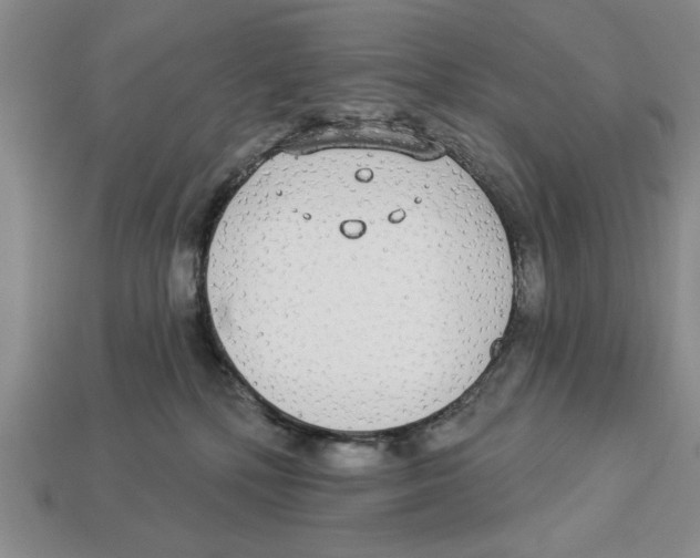 X0000112910232200909211038