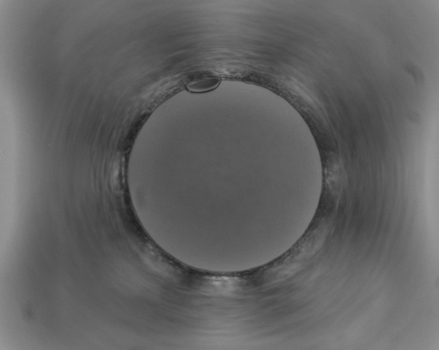 X0000112910233200909211038
