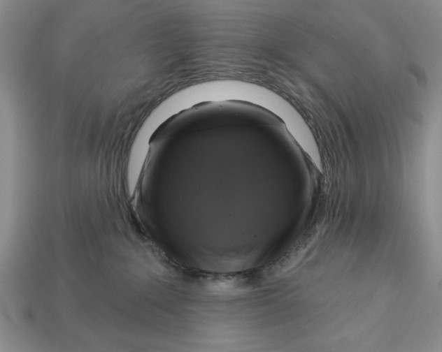 X0000112910235200909211038