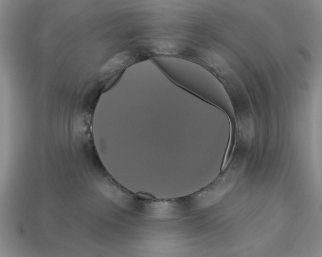 X0000112910237200909211038