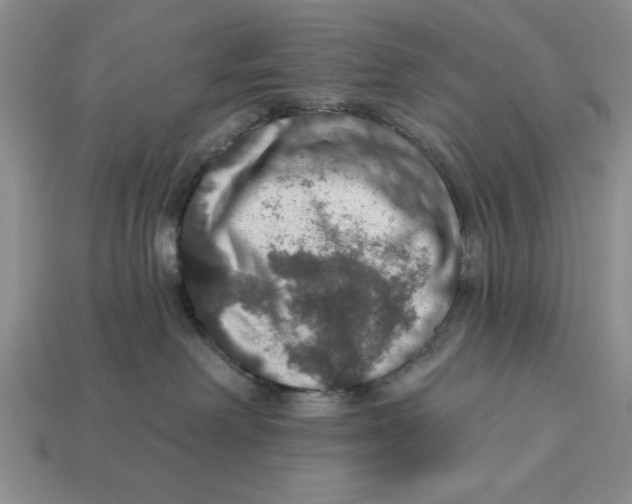 X0000112910238200909211038