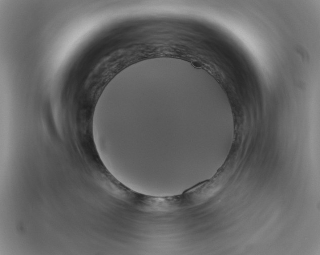X0000112910239200909211038
