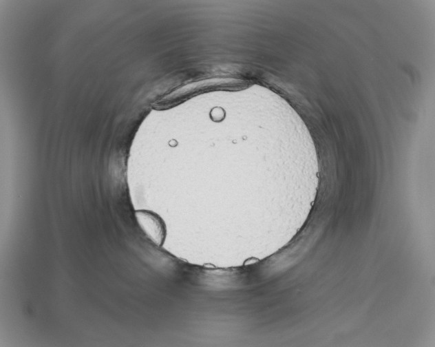 X0000112910240200909211038