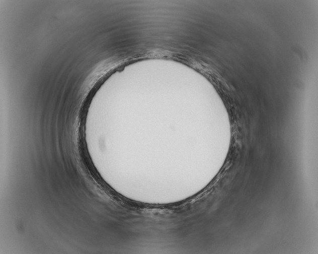 X0000112910242200909211037