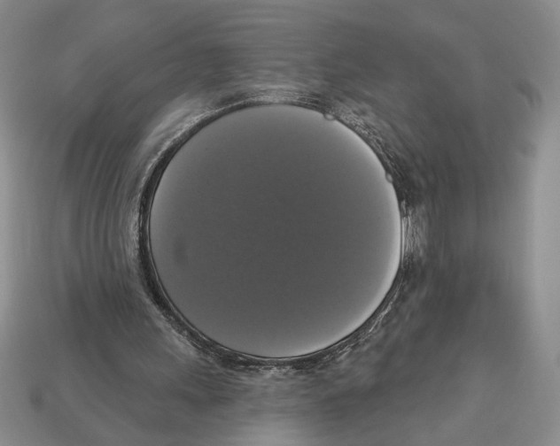 X0000112910243200909211037