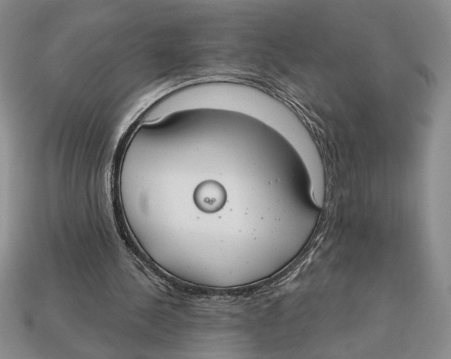 X0000112910244200909211037