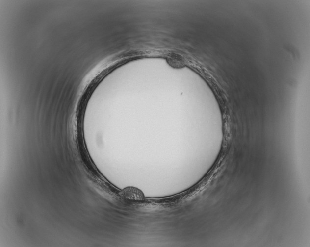 X0000112910246200909211037