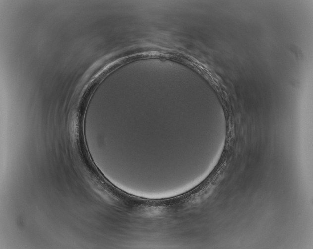 X0000112910247200909211037
