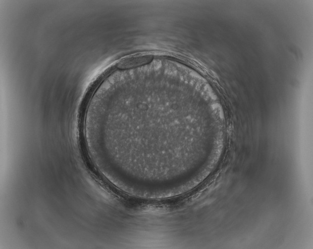 X0000112910248200909211037